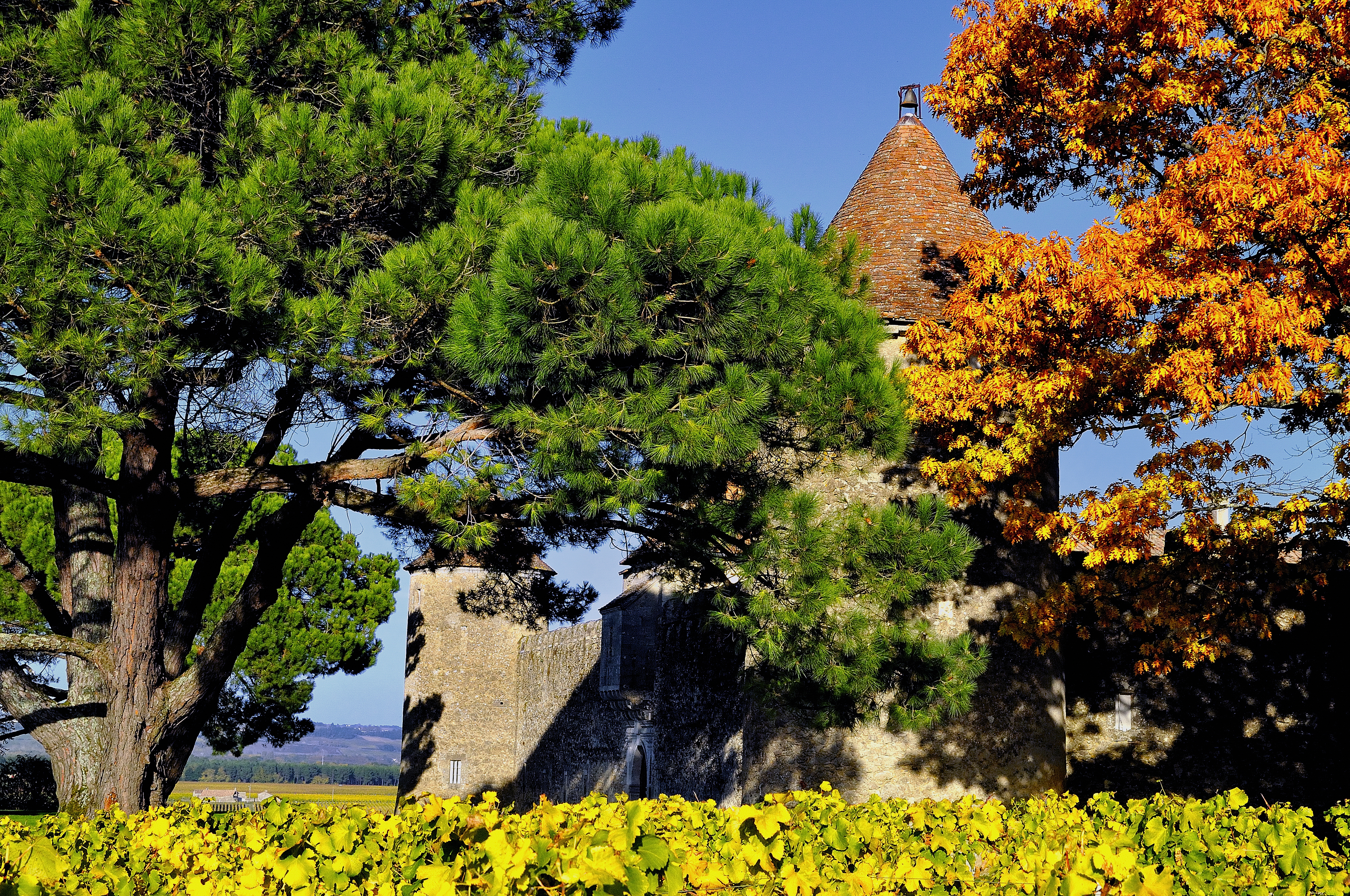 Le Château Yquem bien caché à Sauternes